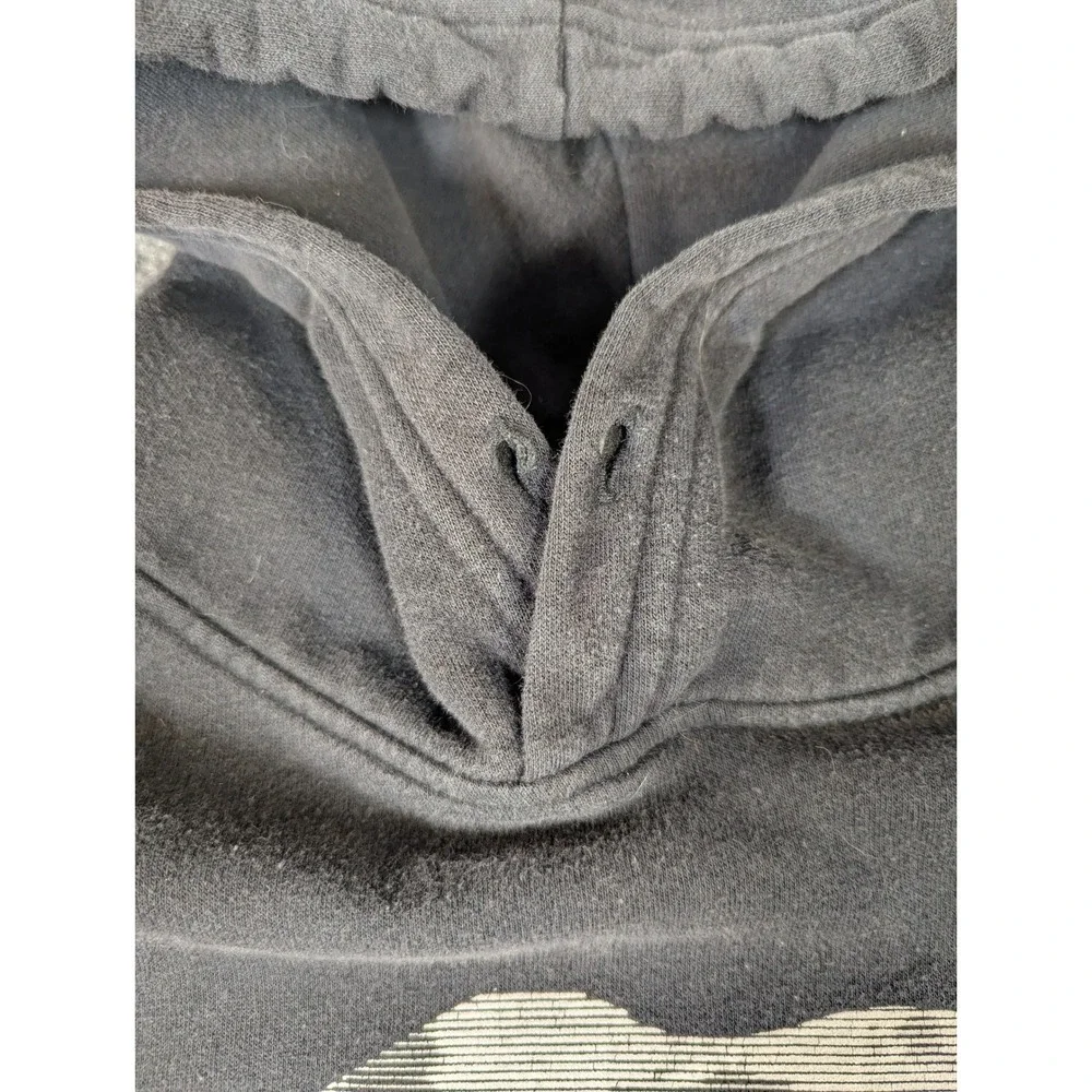 North‎ Face Men Grizzly Bear Mountain Graphic Hoodie Black Sleeve Logo M #2339